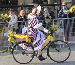 ミモザ自転車